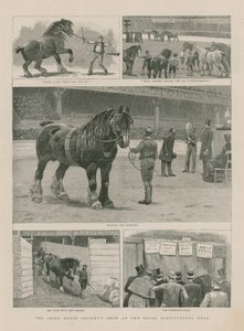 夏尔马协会在皇家农业大厅展示 作者 英语学校