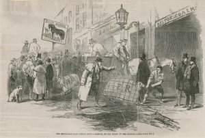 史密斯菲尔德俱乐部牛展 作者 英语学校