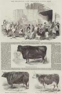 史密斯菲尔德俱乐部圣诞牛展（版画） 作者 英语学校