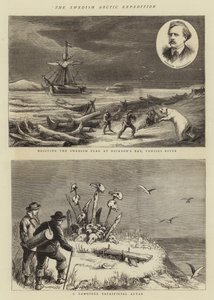 The Swedish Arctic Expedition (engraving) 作者 英语学校