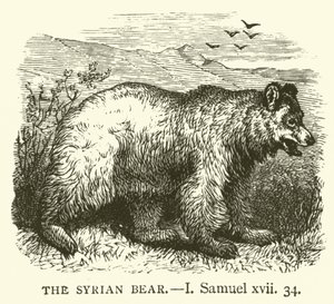 叙利亚的熊，I，塞缪尔，xvii，34（雕刻）。 作者 英语学校