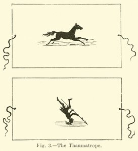 Thaumatrope 作者 英语学校