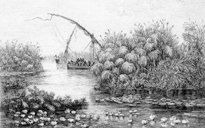 草障中的船只，摘自《非洲的心脏，1868年至1871年在中非未开发地区的三年旅行和冒险》，作者乔治-奥古斯特-施魏因富特。 作者 英语学校