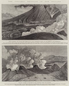 新西兰的火山爆发（版画） 作者 英语学校