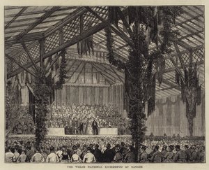 班戈的威尔士国家 Eisteddfod（雕刻） 作者 英语学校