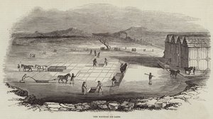 文汉姆冰湖（版画） 作者 英语学校
