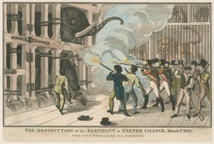 1826年3月1日，埃克塞特大学破坏了大象 作者 英语学校