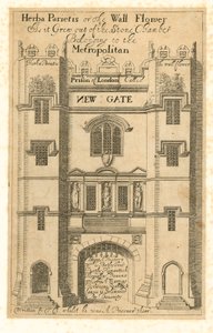 Newgate最早的已知视图 作者 英语学校