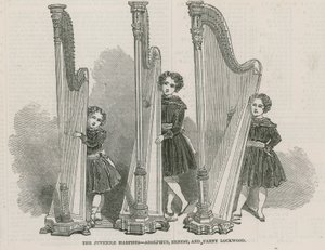 少年竖琴手 - 阿道夫斯，欧内斯特和范妮洛克伍德 作者 英语学校