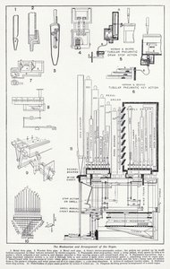 器官（光刻）的机制和排列 作者 英语学校