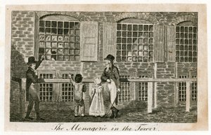 1820年伦敦塔中的动物园 作者 英语学校