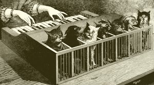 猫的钢琴 作者 英语学校