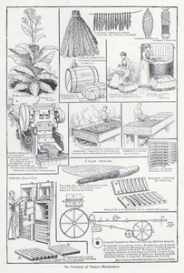 烟草制造过程（石版印刷） 作者 英语学校