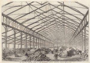 美国植物在Ashburham亭子，Cremorne庭院的展示 作者 英语学校