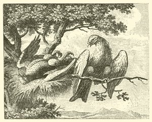 病鸢（雕刻） 作者 英语学校