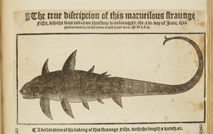 这艘奇异的船的真实描述"，1569 年（雕刻） 作者 英语学校