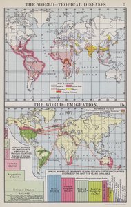 世界、热带疾病、世界、移民（彩色石版画） 作者 英语学校