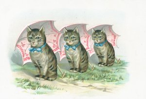 坐在线的三只猫 作者 英语学校
