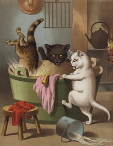 三只小猫玩洗衣盆（彩虹色） 作者 英语学校