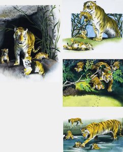 老虎和小熊 作者 英语学校