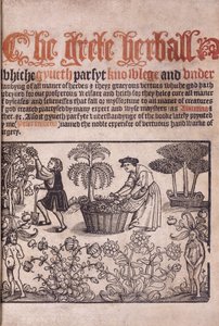 1529年用数字插图的花园场景的标题页 作者 英语学校