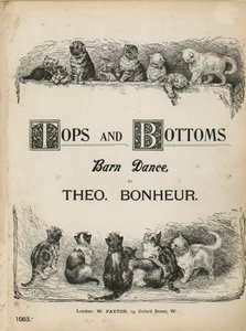 Theo Bonheur的顶部和底部谷仓舞蹈 作者 英语学校