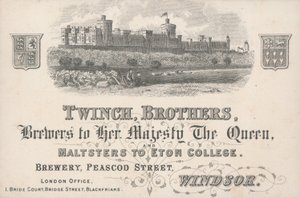 交易卡，Twinch兄弟 作者 英语学校