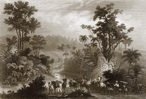 在巴西旅行 作者 英语学校