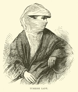 土耳其女士 作者 英语学校