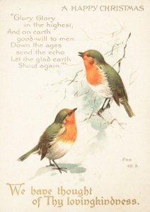 两个知更鸟在雪地里，圣诞贺卡 作者 英语学校