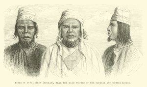Futa-Jallon，Foulah的类型，靠近塞内加尔和冈比亚河的水域 作者 英语学校