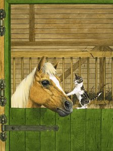 身份不明的马和顽皮的小猫 作者 英语学校