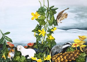身份不明的植物和动物，包括猫头鹰，獾和黄鼠狼 作者 英语学校
