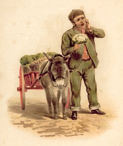 蔬菜供应商（chromolitho 作者 英语学校