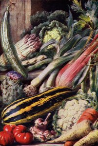 蔬菜（彩色平版印刷） 作者 英语学校