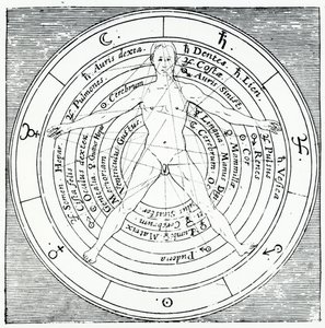 来自Robert Fludd的&39;Utriusque Cosmi Historia&39;的维特鲁威人物，于1617年出版（雕刻） 作者 English School