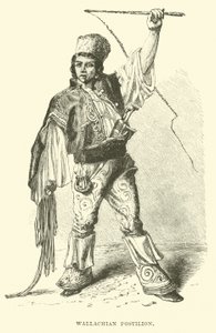 Wallachian postilion 作者 英语学校