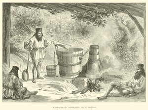 Wallachians蒸馏梅子白兰地 作者 英语学校