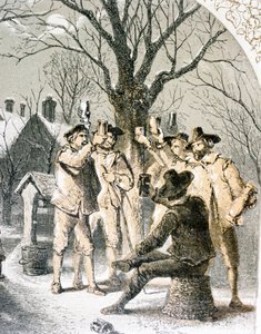 1840年，戴着苹果树 作者 英语学校