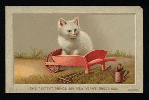坐在独轮车上的白猫，新年贺卡。(chromolitho) 作者 英语学校