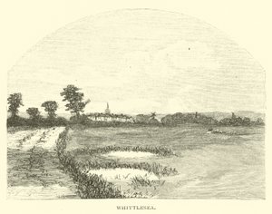 Whittlesea 作者 英语学校