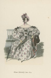 维也纳杂志，1834年6月 作者 英语学校
