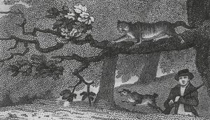 野猫（雕刻） 作者 英语学校