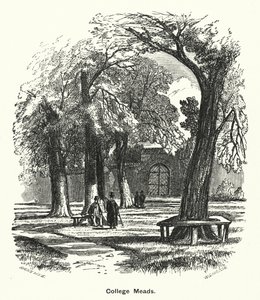 温彻斯特学院。College Meads（雕刻）。 作者 英语学校