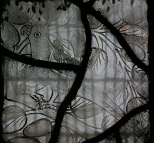 窗口NW描绘一只鸟 作者 英语学校