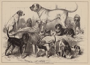 伯明翰犬展获奖者（雕刻） 作者 英语学校