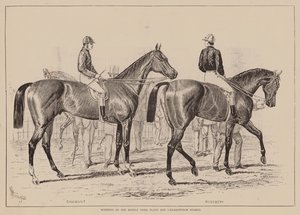 Middle Park 锦标和 Caesarewitch 锦标的获胜者（雕刻） 作者 英语学校