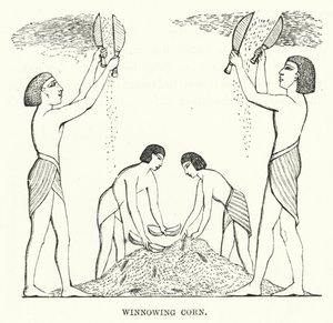 Winnowing Corn (engraving) 作者 英语学校