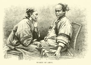 淘的女人 作者 英语学校