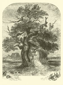 Yardley Oak 作者 英语学校